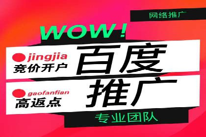 某品牌的信息流广告投放策略及效果展示